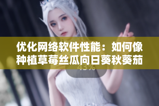 優(yōu)化網(wǎng)絡(luò)軟件性能：如何像種植草莓絲瓜向日葵秋葵茄子一樣優(yōu)雅應(yīng)對挑戰(zhàn)