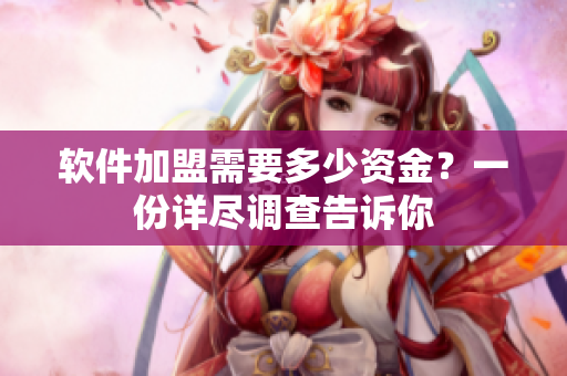 軟件加盟需要多少資金？一份詳盡調(diào)查告訴你