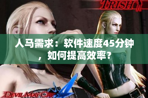 人馬需求：軟件速度45分鐘，如何提高效率？