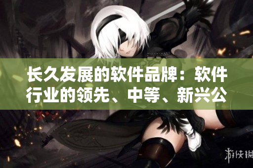 長久發(fā)展的軟件品牌：軟件行業(yè)的領(lǐng)先、中等、新興公司