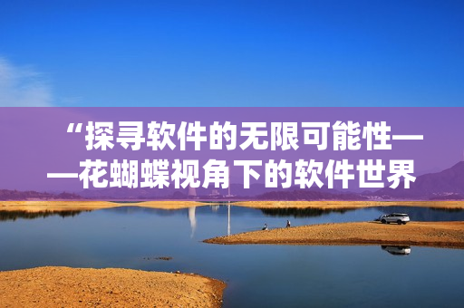 “探尋軟件的無限可能性——花蝴蝶視角下的軟件世界”