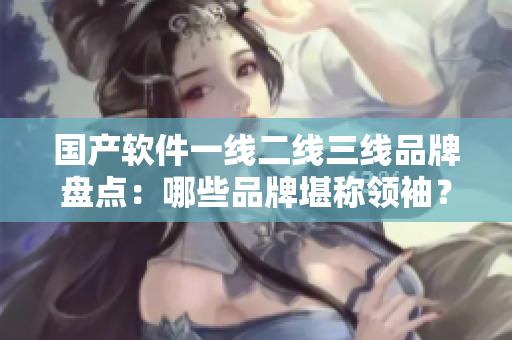 國產(chǎn)軟件一線二線三線品牌盤點：哪些品牌堪稱領袖？