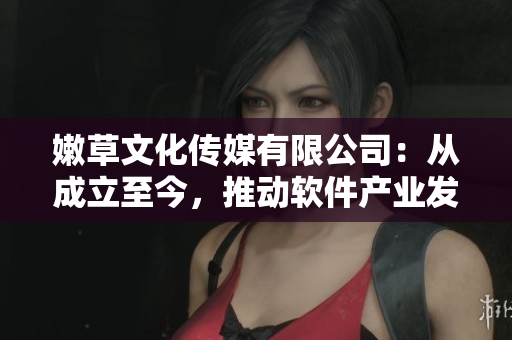 嫩草文化傳媒有限公司：從成立至今，推動軟件產(chǎn)業(yè)發(fā)展