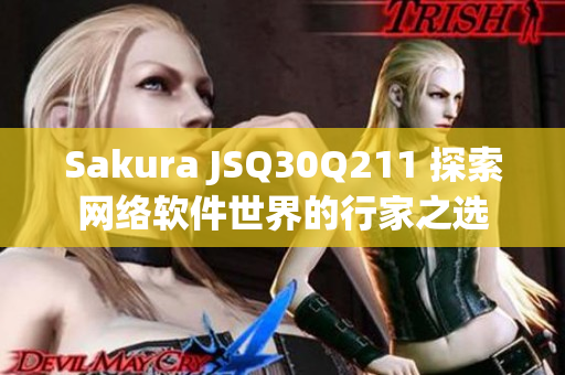 Sakura JSQ30Q211 探索網(wǎng)絡(luò)軟件世界的行家之選