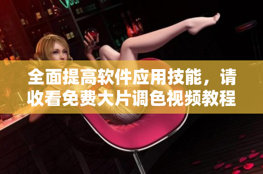 全面提高軟件應(yīng)用技能，請收看免費(fèi)大片調(diào)色視頻教程全集！