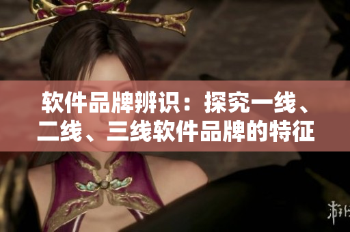 軟件品牌辨識：探究一線、二線、三線軟件品牌的特征與差異