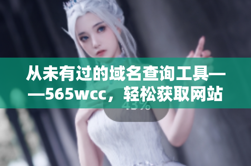 從未有過的域名查詢工具——565wcc，輕松獲取網站信息