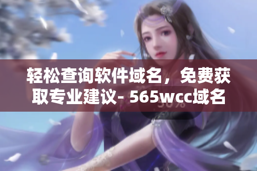 輕松查詢軟件域名，免費獲取專業(yè)建議- 565wcc域名查詢