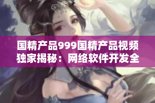 國(guó)精產(chǎn)品999國(guó)精產(chǎn)品視頻獨(dú)家揭秘：網(wǎng)絡(luò)軟件開發(fā)全過程詳解
