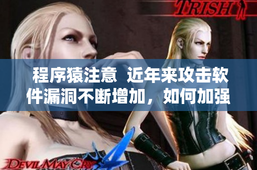  程序猿注意  近年來攻擊軟件漏洞不斷增加，如何加強(qiáng)軟件安全？