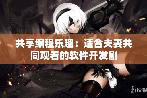 共享編程樂(lè)趣：適合夫妻共同觀看的軟件開(kāi)發(fā)劇