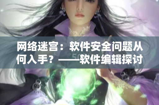 網(wǎng)絡(luò)迷宮：軟件安全問題從何入手？——軟件編輯探討網(wǎng)絡(luò)安全挑戰(zhàn)