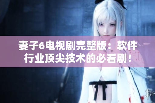 妻子6電視劇完整版：軟件行業(yè)頂尖技術(shù)的必看劇！