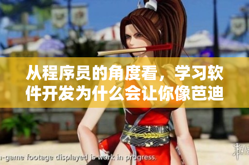 從程序員的角度看，學(xué)習(xí)軟件開發(fā)為什么會讓你像芭迪女士一樣掉淚翻白眼