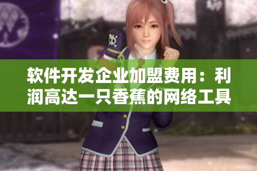 軟件開發(fā)企業(yè)加盟費用：利潤高達一只香蕉的網(wǎng)絡(luò)工具！