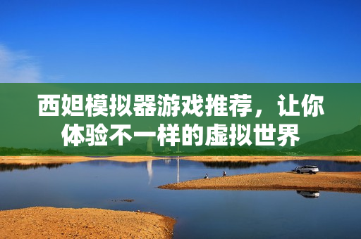 西妲模擬器游戲推薦，讓你體驗(yàn)不一樣的虛擬世界