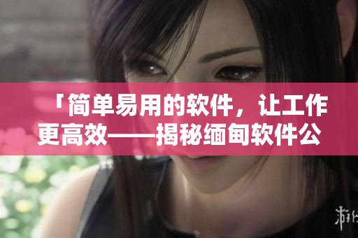 「簡(jiǎn)單易用的軟件，讓工作更高效——揭秘緬甸軟件公司的成功經(jīng)驗(yàn)」