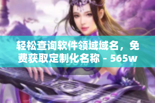 輕松查詢軟件領(lǐng)域域名，免費(fèi)獲取定制化名稱 - 565wcc