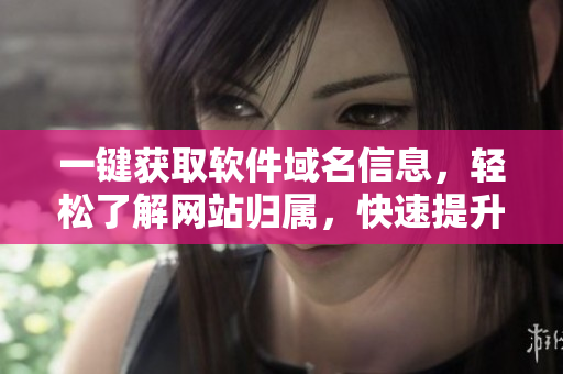 一鍵獲取軟件域名信息，輕松了解網(wǎng)站歸屬，快速提升編程效率