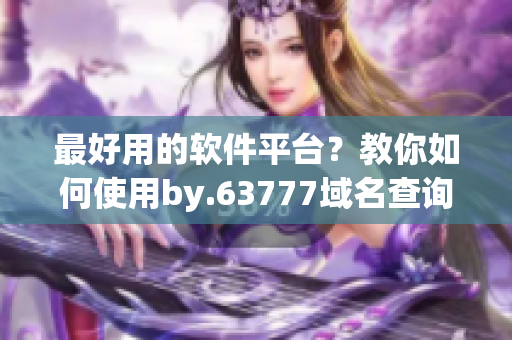 最好用的軟件平臺(tái)？教你如何使用by.63777域名查詢找到最優(yōu)解答！