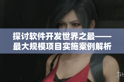 探討軟件開發(fā)世界之最——最大規(guī)模項目實施案例解析