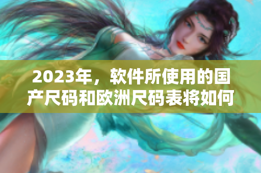 2023年，軟件所使用的國(guó)產(chǎn)尺碼和歐洲尺碼表將如何影響用戶體驗(yàn)？