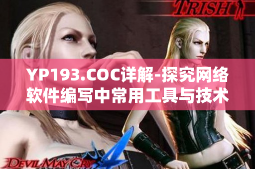 YP193.COC詳解-探究網(wǎng)絡軟件編寫中常用工具與技術