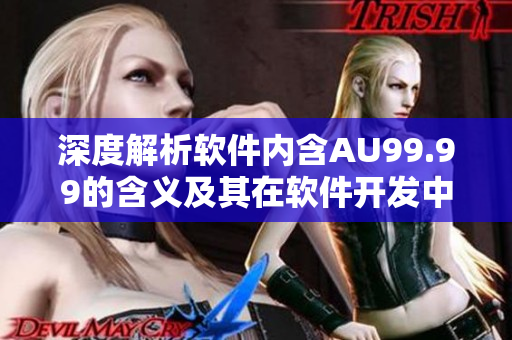 深度解析軟件內(nèi)含AU99.99的含義及其在軟件開發(fā)中的應用