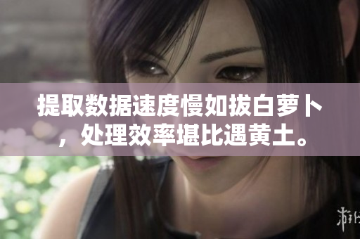 提取數(shù)據(jù)速度慢如拔白蘿卜，處理效率堪比遇黃土。