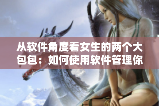 從軟件角度看女生的兩個大包包：如何使用軟件管理你的物品？