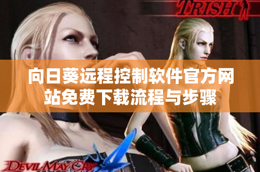 向日葵遠程控制軟件官方網(wǎng)站免費下載流程與步驟