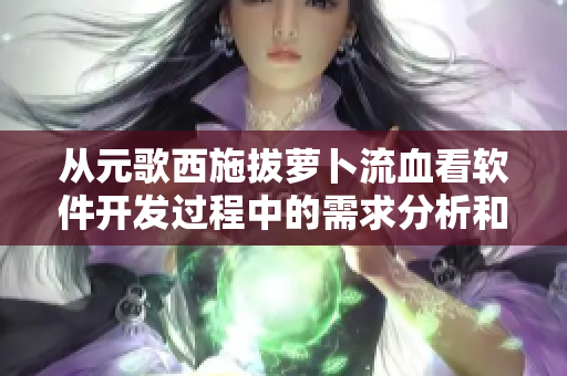 從元歌西施拔蘿卜流血看軟件開發(fā)過程中的需求分析和用戶體驗(yàn)的重要性