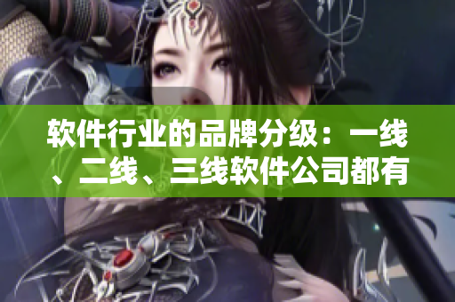 軟件行業(yè)的品牌分級(jí)：一線、二線、三線軟件公司都有哪些？