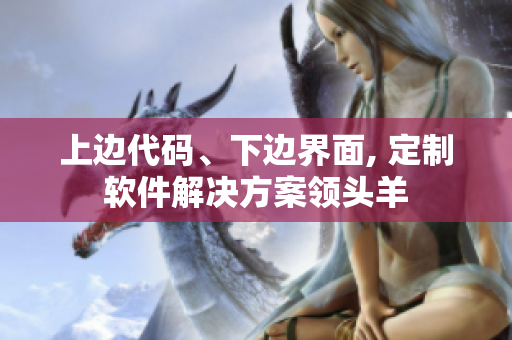 上邊代碼、下邊界面, 定制軟件解決方案領(lǐng)頭羊