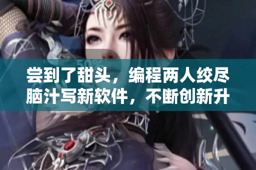 嘗到了甜頭，編程兩人絞盡腦汁寫新軟件，不斷創(chuàng)新升級(jí)