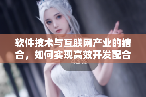 軟件技術(shù)與互聯(lián)網(wǎng)產(chǎn)業(yè)的結(jié)合，如何實(shí)現(xiàn)高效開發(fā)配合