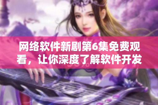 網(wǎng)絡軟件新劇第6集免費觀看，讓你深度了解軟件開發(fā)技巧！