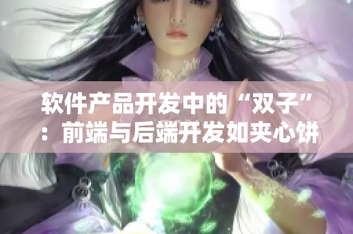 軟件產品開發(fā)中的“雙子”：前端與后端開發(fā)如夾心餅干一般完美搭配