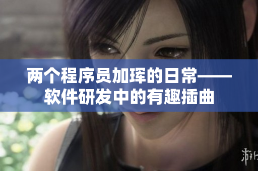 兩個程序員加琿的日?！浖邪l(fā)中的有趣插曲