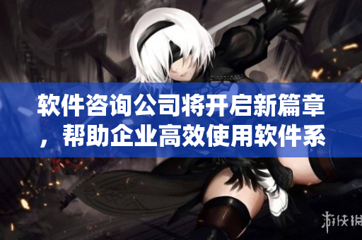 軟件咨詢公司將開啟新篇章，幫助企業(yè)高效使用軟件系統(tǒng)