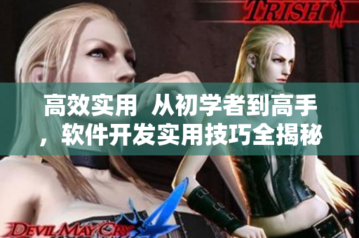 高效實(shí)用  從初學(xué)者到高手，軟件開發(fā)實(shí)用技巧全揭秘
