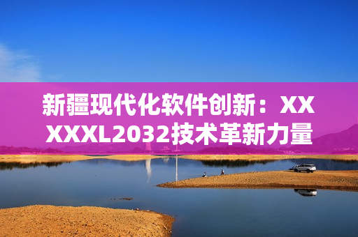 新疆現代化軟件創(chuàng)新：XXXXXL2032技術革新力量