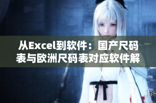 從Excel到軟件：國產(chǎn)尺碼表與歐洲尺碼表對應(yīng)軟件解決方案