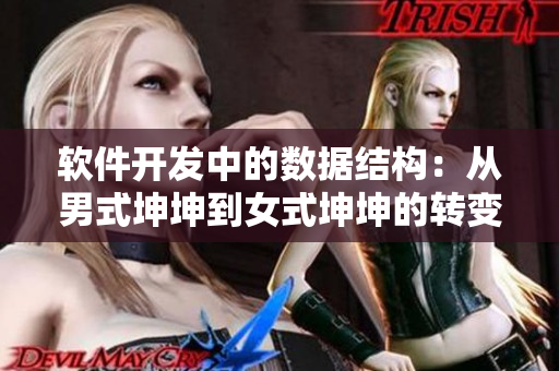 軟件開(kāi)發(fā)中的數(shù)據(jù)結(jié)構(gòu)：從男式坤坤到女式坤坤的轉(zhuǎn)變