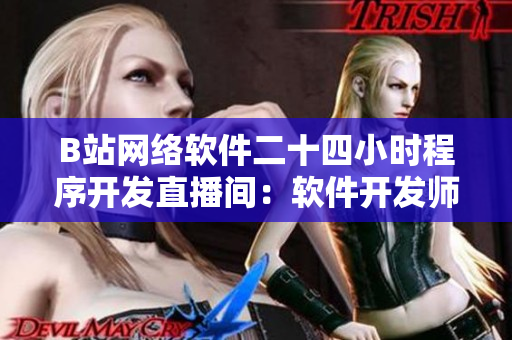 B站網(wǎng)絡(luò)軟件二十四小時(shí)程序開(kāi)發(fā)直播間：軟件開(kāi)發(fā)師們的學(xué)習(xí)聚集地