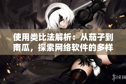 使用類比法解析：從茄子到南瓜，探索網(wǎng)絡(luò)軟件的多樣化構(gòu)建