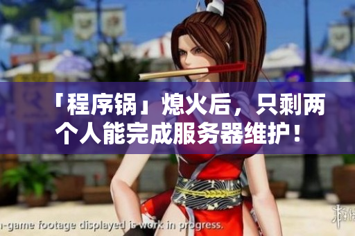 「程序鍋」熄火后，只剩兩個(gè)人能完成服務(wù)器維護(hù)！