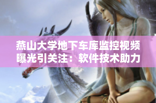 燕山大學(xué)地下車庫監(jiān)控視頻曝光引關(guān)注：軟件技術(shù)助力校園安全
