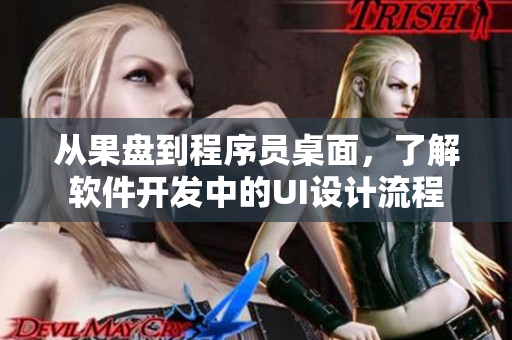 從果盤到程序員桌面，了解軟件開發(fā)中的UI設計流程