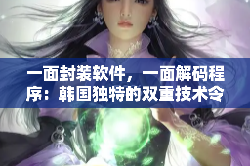 一面封裝軟件，一面解碼程序：韓國獨特的雙重技術(shù)令人驚嘆
